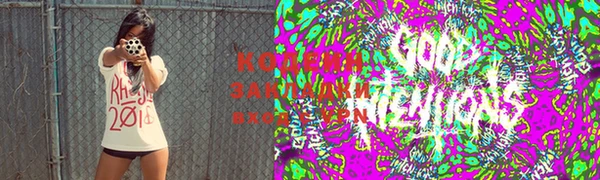 хмурый Липки