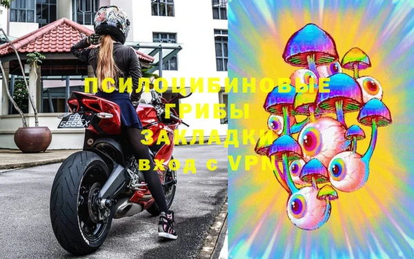 a pvp Лиски