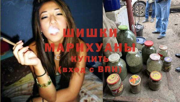 хмурый Липки