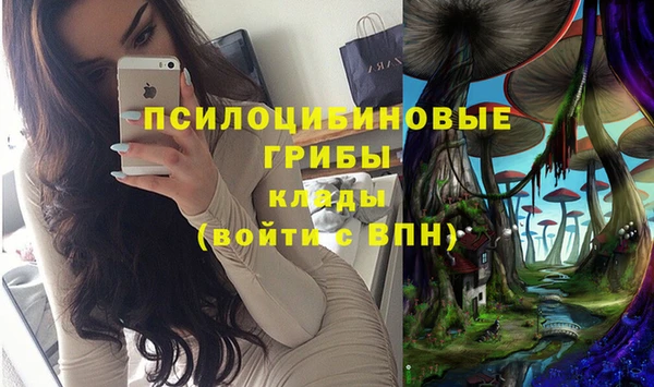 a pvp Лиски