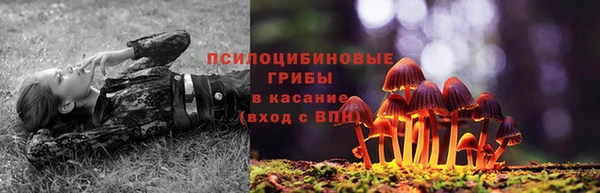 a pvp Лиски