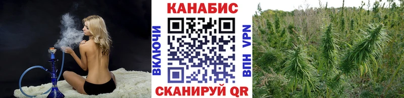 Бошки марихуана Bruce Banner  Купить где  Мосальск 